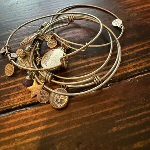 Alex and Ani Silver Look Charm Bracelet Set